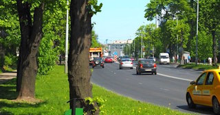 Посадка деревьев и кустарников в Каменске-Шахтинском — стоимость от 1236 руб.